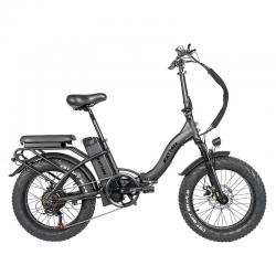 LF 750W Step Through Foldable Fat Tire ebike